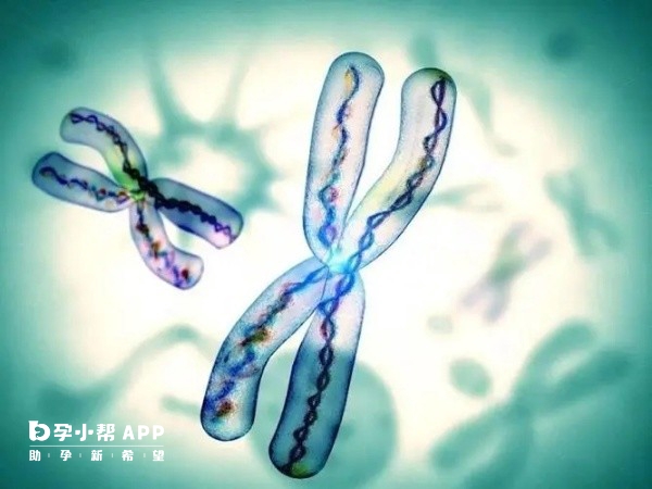最适合孕妇吃的6种水果 最适合孕妇吃的6种水果是什么？
