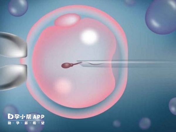 经期可以吃蓝莓吗 月经期间可不可以吃蓝莓